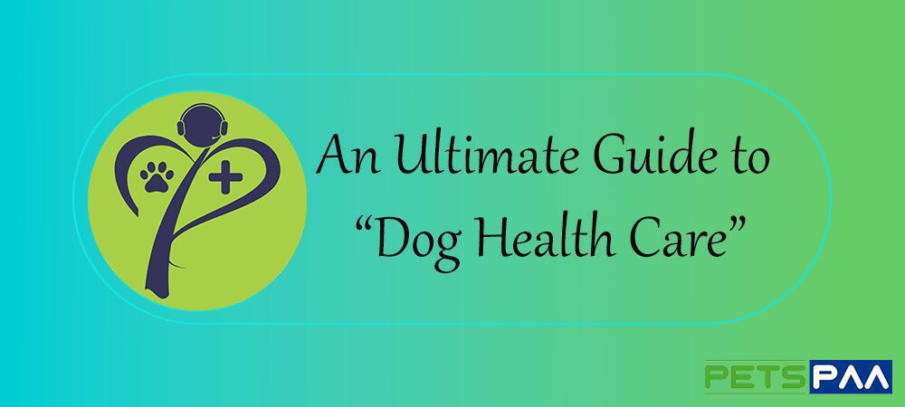 An Ultimate Guide to Dog Health Care by PetsPaa
