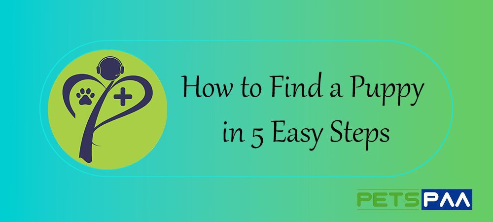 How to Find a Puppy in 5 Easy Steps, PetsPaa