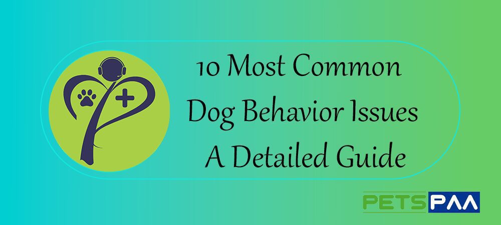 10 Most Common Dog Behavior Issues - A Detailed Guide