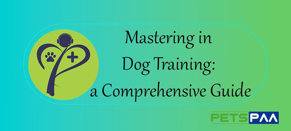 Mastering in Dog Training a Comprehensive Guide