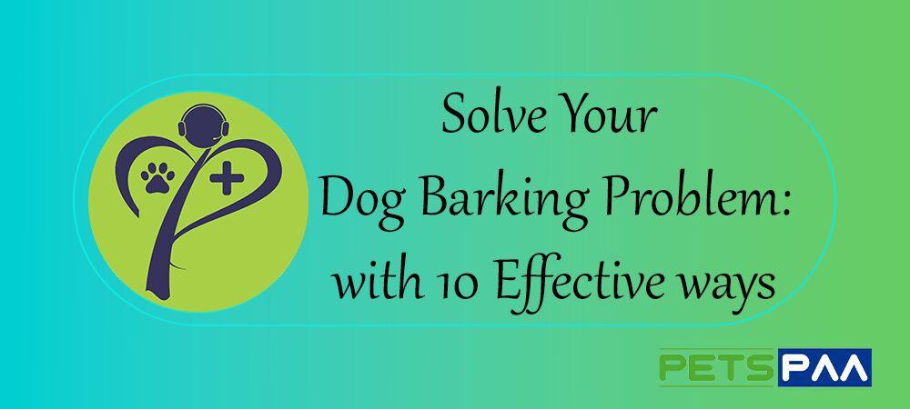 Solve Your Dog Barking Problem with these 10 Effective ways for a Peaceful Home