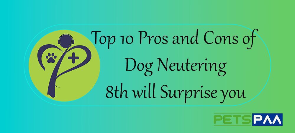 Top 10 Pros and Cons of Dog Neutering: 8th will Surprise you
