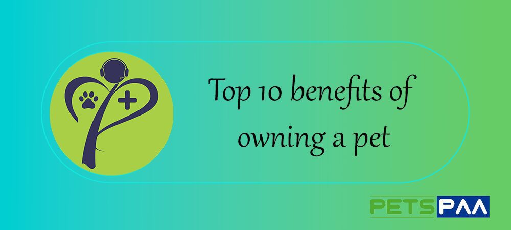 Top 10 benefits of owning a pet