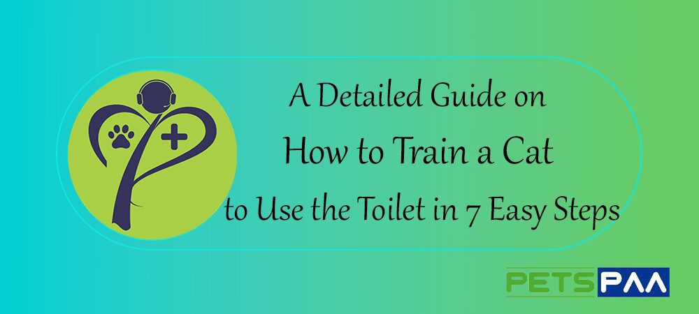 A Detailed Guide on How to Train a Cat to Use the Toilet in 7 Easy Steps
