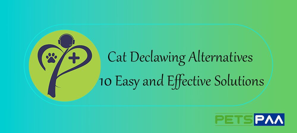 Cat Declawing Alternatives: 10 Easy and Effective Solutions