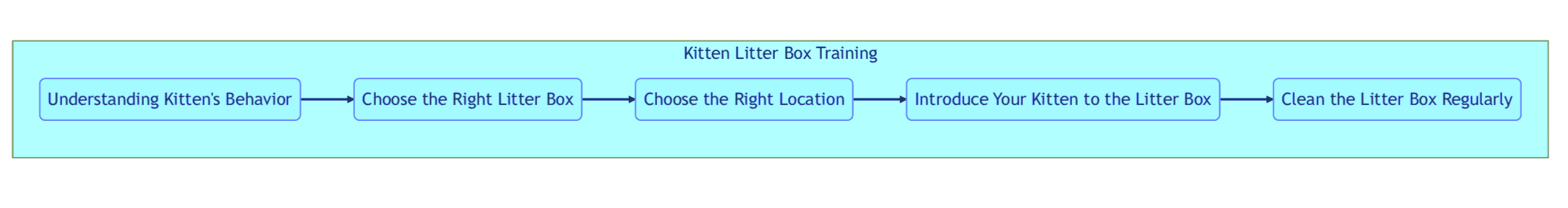 Kitten Litter Box Training