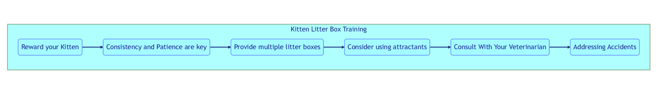 Kitten Litter Box Training