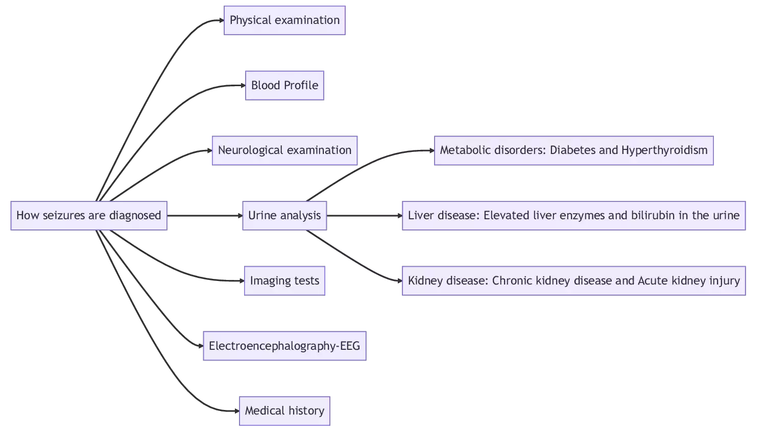 How seizures are diagnosed PetsPaa