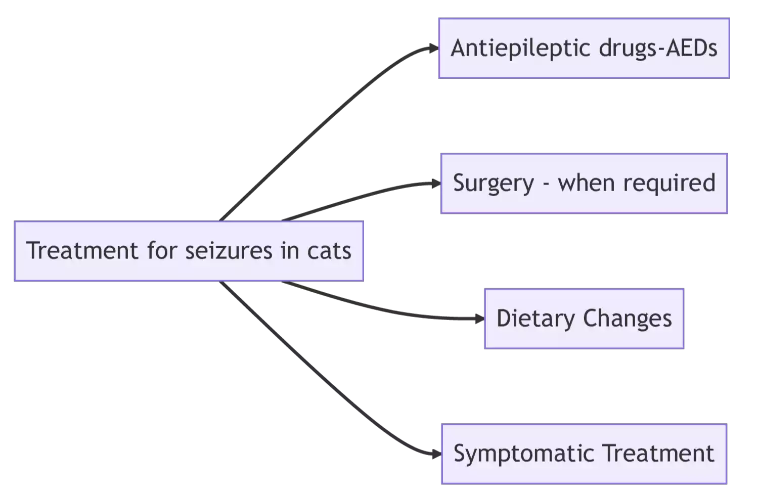 Treatment for seizures in cats PetsPaa