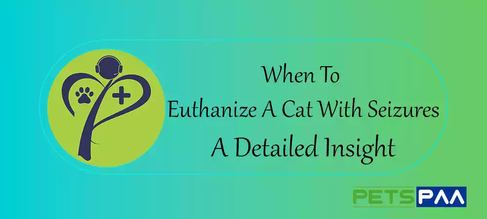 When To Euthanize A Cat With Seizures