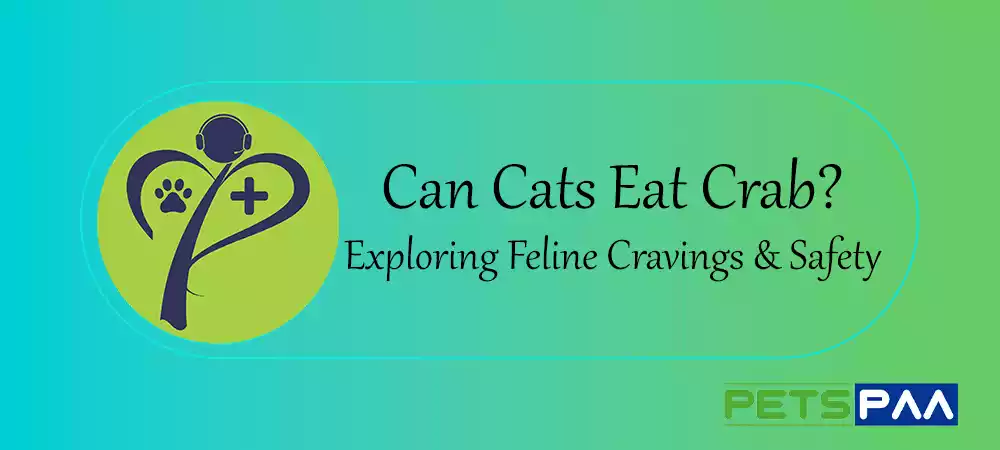 Can Cats Eat Crab -PetsPaa