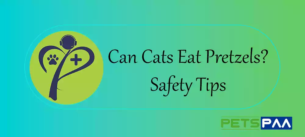 Can Cats Eat Pretzels - PetsPaa