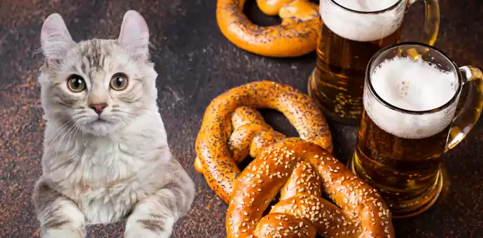 Can Cats Eat Pretzels Safety Tips - PetsPaa