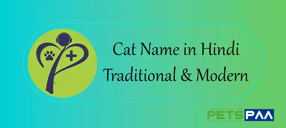 Cat Name in Hindi - PetsPaa