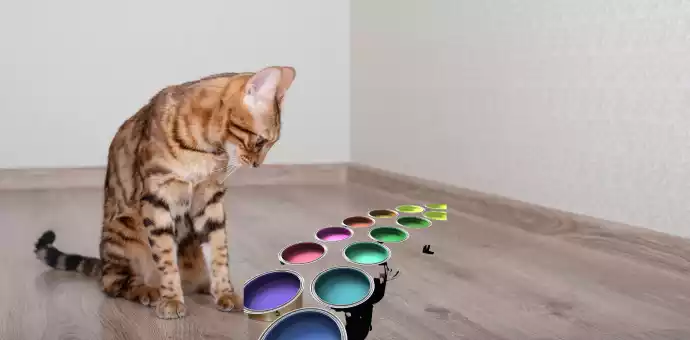 What colors can cats not see