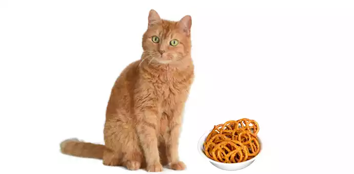 are pretzels toxic to cats - PetsPaa (2)