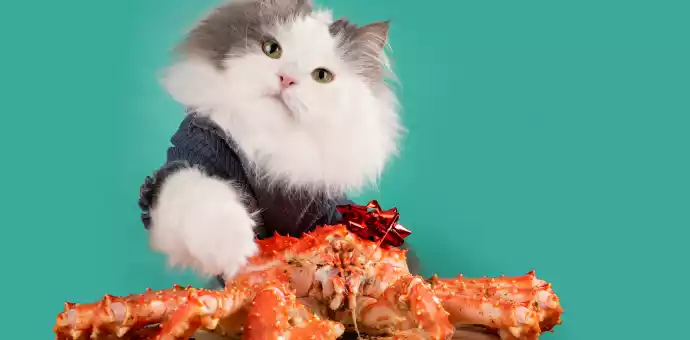 can cats eat crab shells - PetsPaa