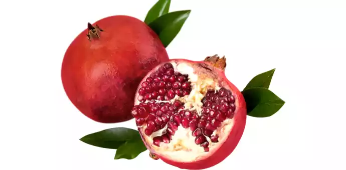can cats eat pomegranate seeds - PetsPaa