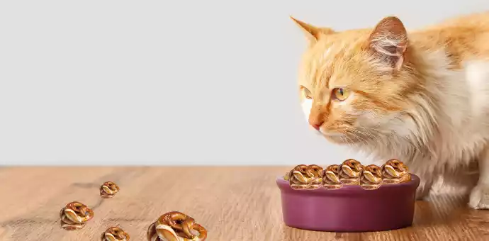 can cats eat pretzels - PetsPaa