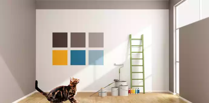 how well can cats see color