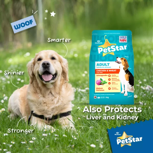 Petstar Chicken and Wheat Adult Dog Dry Food_ PetsPaa 2