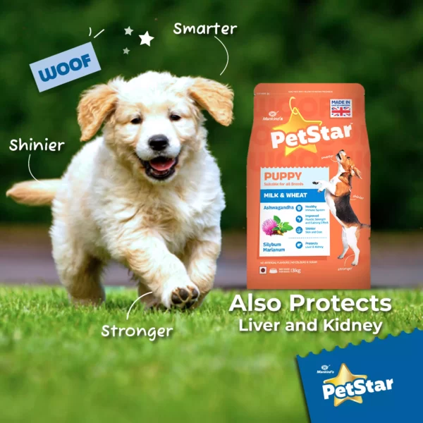 Petstar Milk and Wheat Puppy Dog Dry Food_ PetsPaa