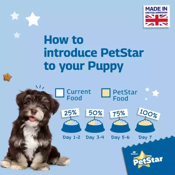 Petstar Starter Mother & Baby Dog Dry Food_ PetsPaa