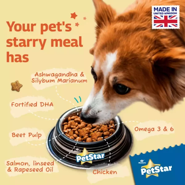 Petstar Chicken and Wheat Adult Dog Dry Food_ PetsPaa 5