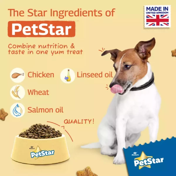 Petstar Chicken and Wheat Adult Dog Dry Food_ PetsPaa 6