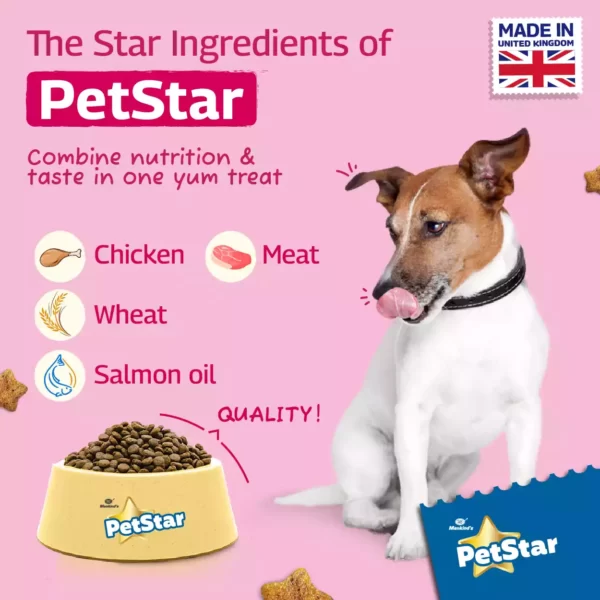Petstar Meat and Wheat Adult Dog Dry Food_ PetsPaa