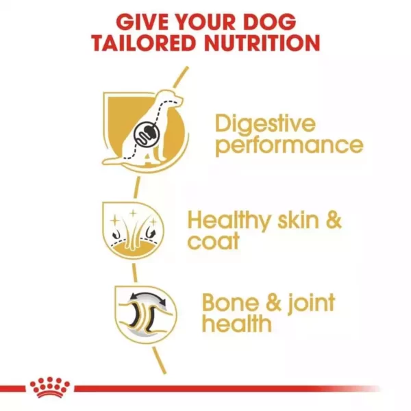 Royal Canin German Shepherd Adult Dog Dry Food PetsPaa4