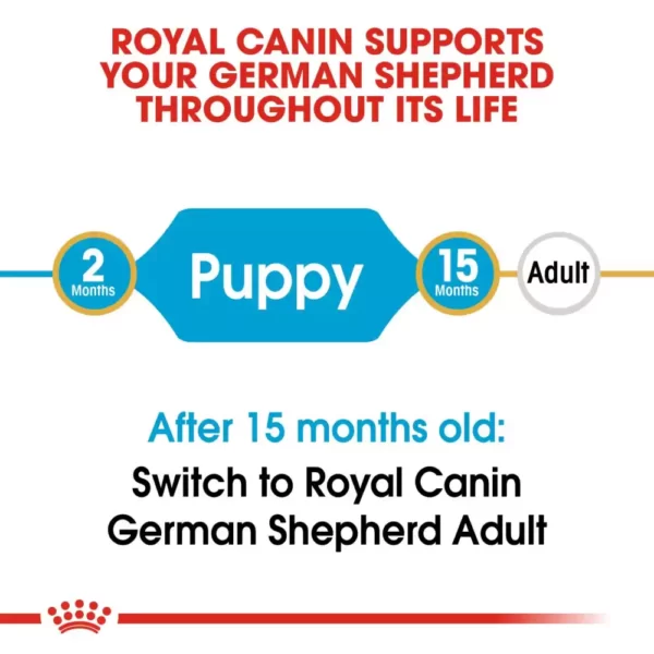 Royal Canin German Shepherd Puppy Dog Dry Food_PetsPaa19