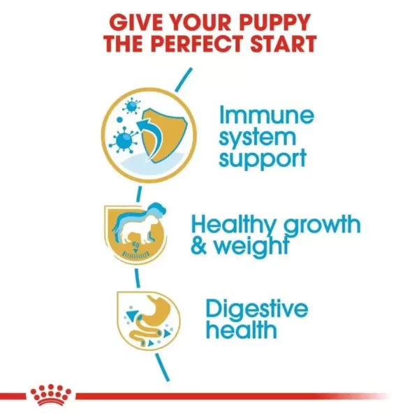 Royal Canin Labrador Puppy Dog Dry Food _PetsPaa11