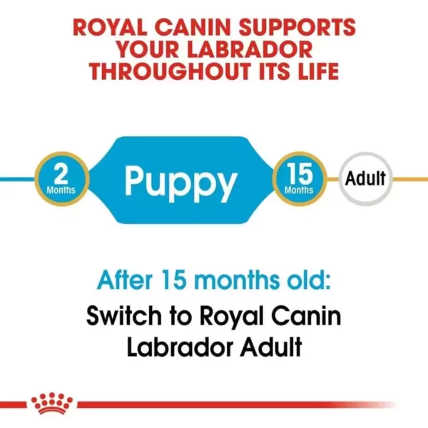 Royal Canin Labrador Puppy Dog Dry Food _PetsPaa3