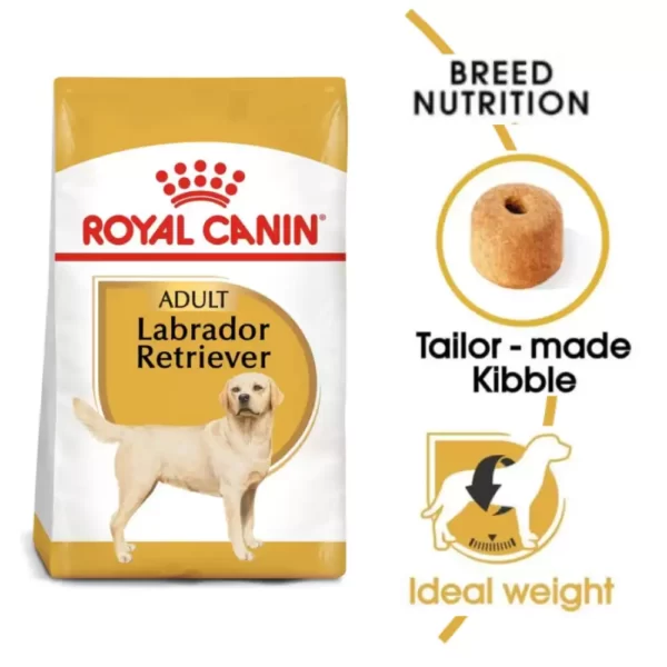Royal Canin Labrador Retriever Adult Dog Dry Food _PetsPaa20